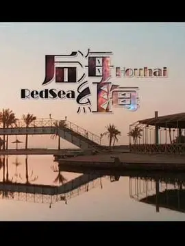 《后海·红海》：现实的残酷与人性的挣扎，一部让你‘坐立不安’的国产佳作！