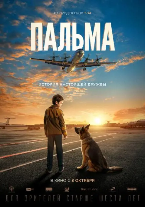 《忠犬帕尔玛》：一部看完让人泪崩的治愈系暖心电影，情感巨制！