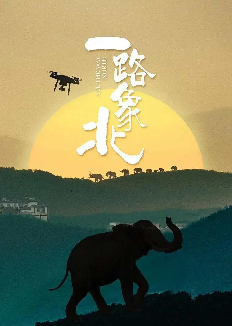 《一路象北》：国产温情片还能这么玩？看完我哭了，导演你出来，我要给你加鸡腿！