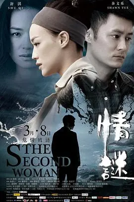 情谜 海报